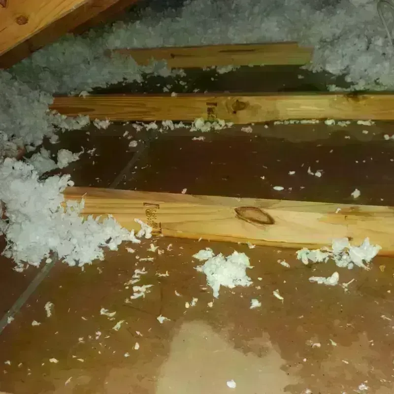 Attic Water Damage in Whitney, TX