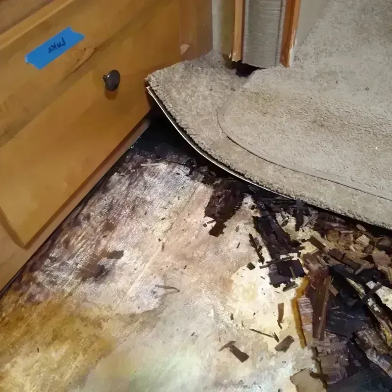 Wood Floor Water Damage in Whitney, TX